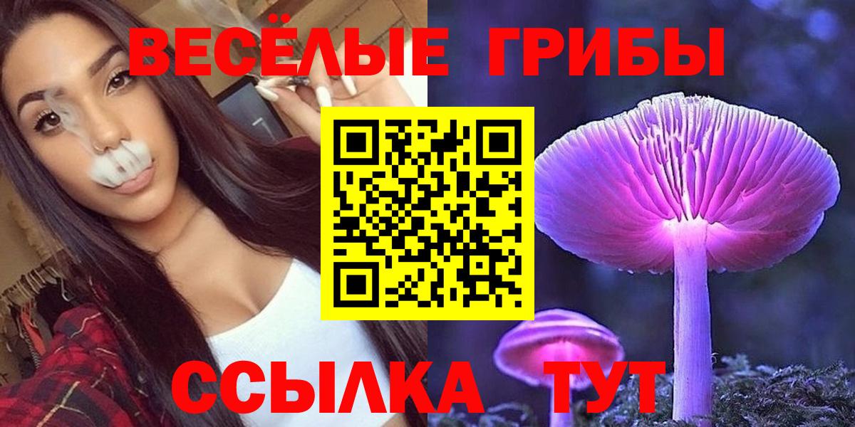 купить   Вход с VPN  Иваново  Псилоцибиновые грибы Psilocybe 